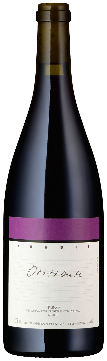 Orizzonte