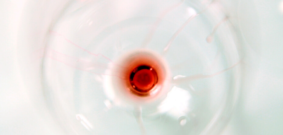 Wein-Abos: Lernen Sie Weine kleiner Weingüter kennen