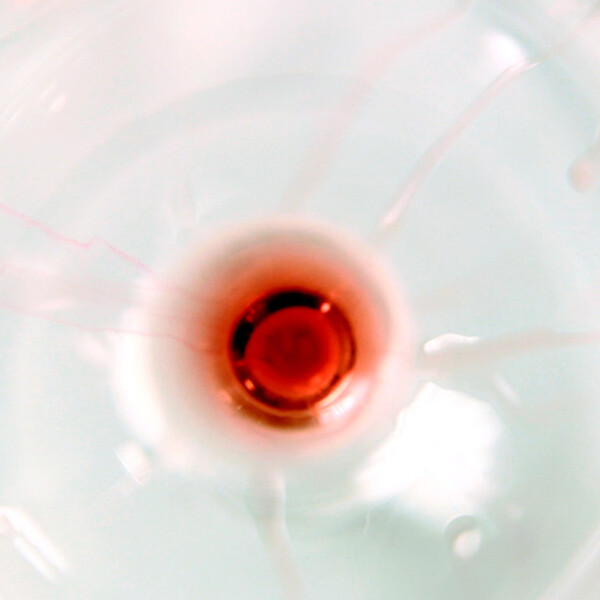 Wein-Abos entdecken